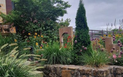 Agrupaciones de plantas en el diseño de jardines.