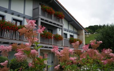 Agrupaciones con plantas en el diseño de jardines 2.