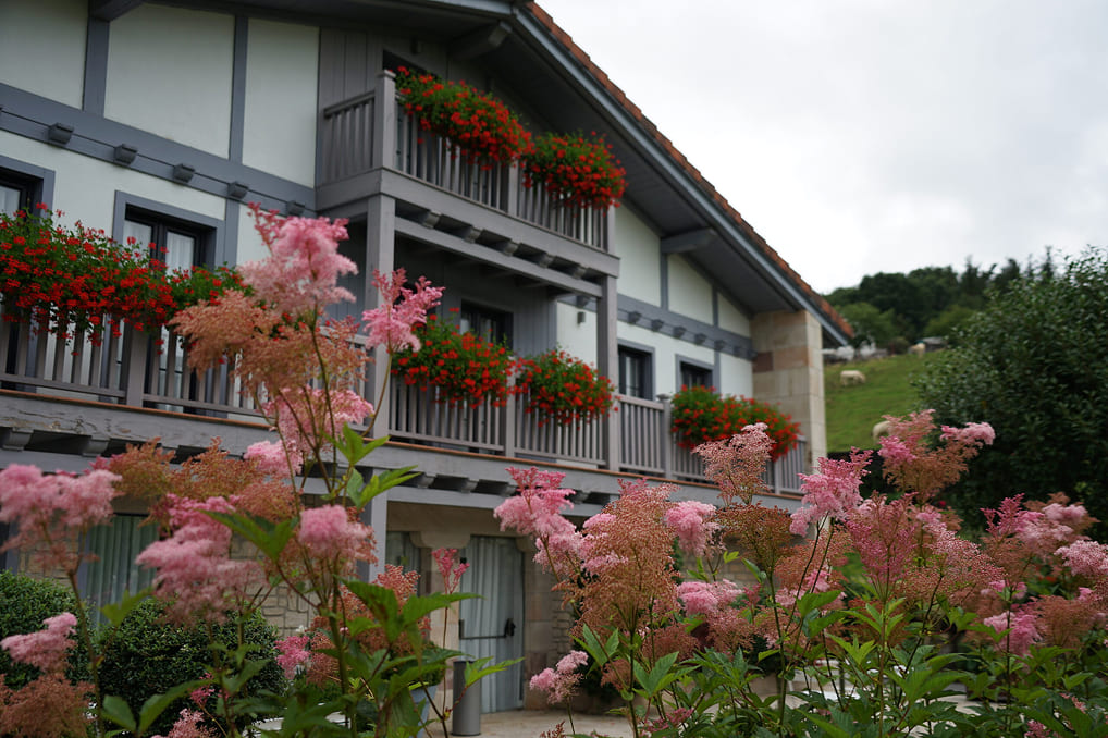 Agrupacionesplantas-blog-jardinarias-2