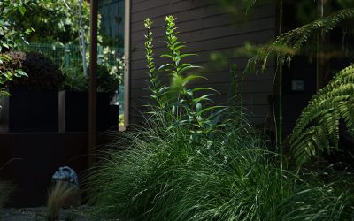 ¿Cómo tener una buena conexión internet en tu jardín?