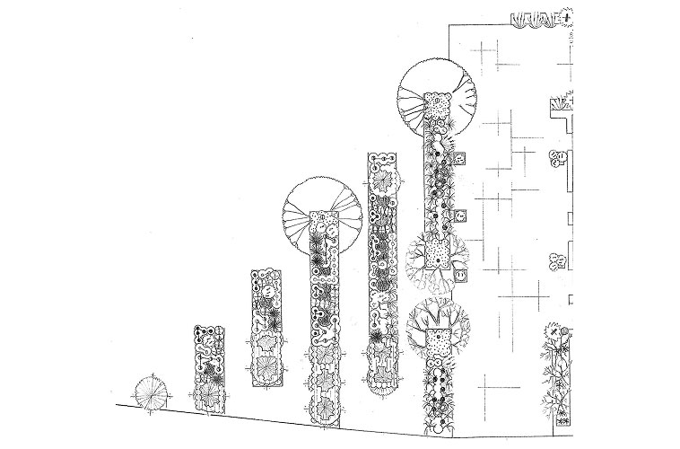 Ideario-La-forma-y-la-estructura-2