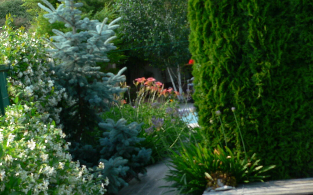 Jardín I