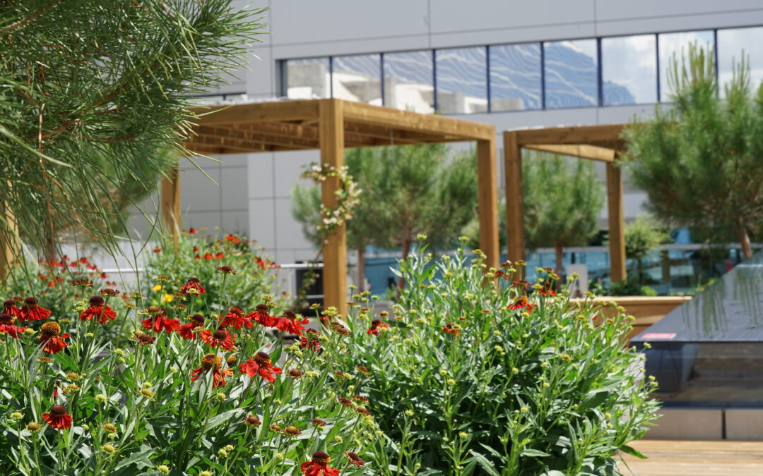 Terraza GSK