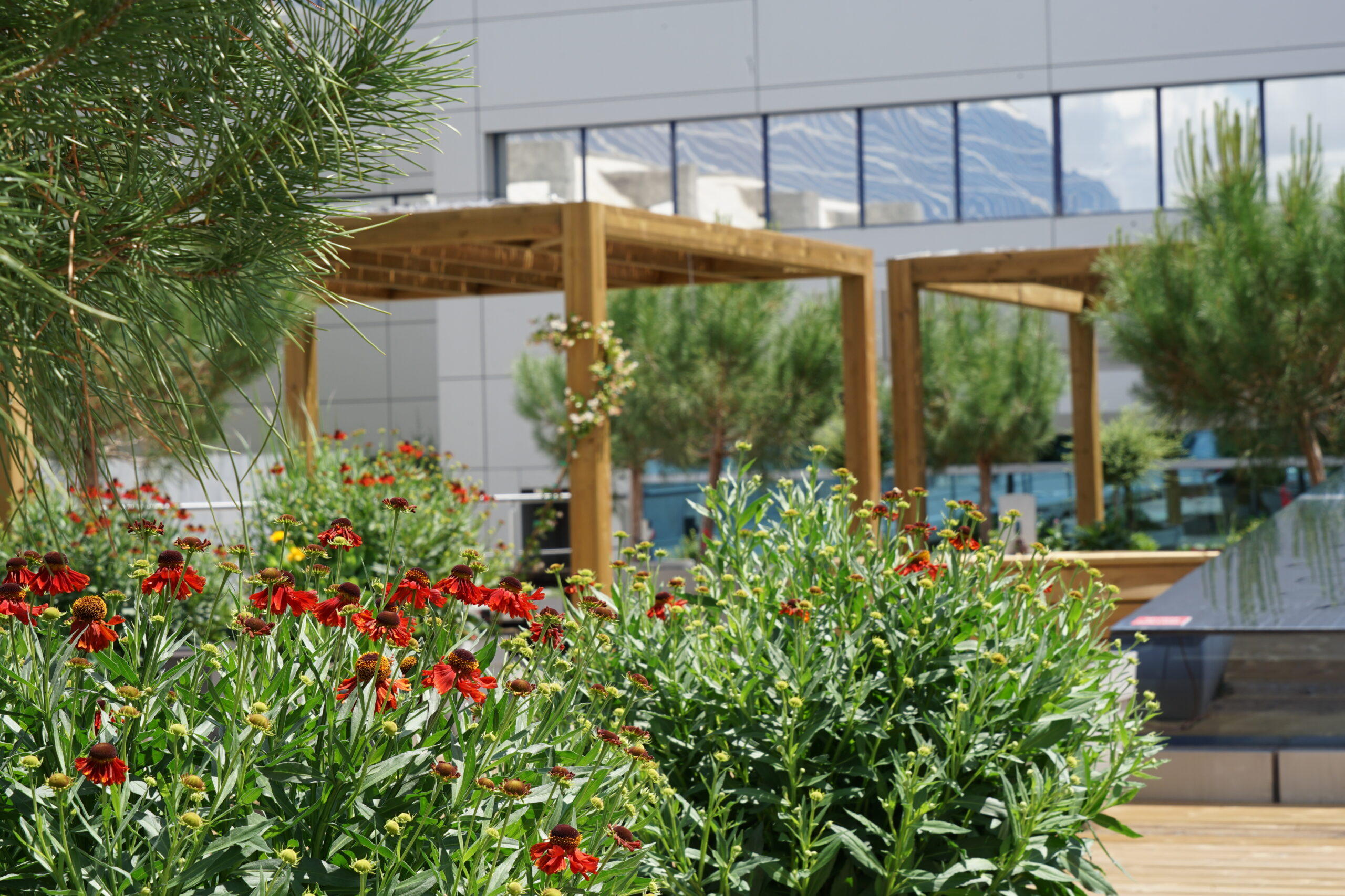 Proyecto Terraza GSK