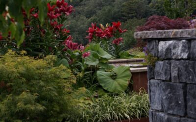 Jardinarias en una composición para plantar cerca del agua.